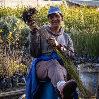A farmer holding up plants.