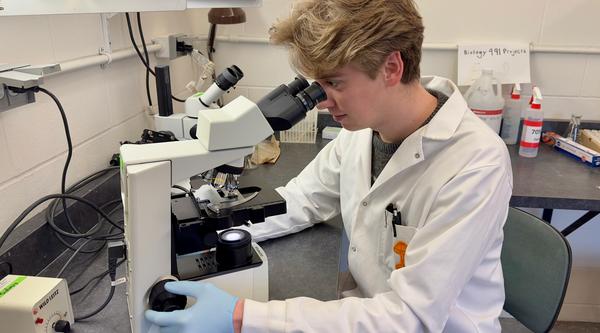 Ian wears gloves and a lab coat and looks through a microscope