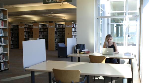 a woman studies at a desk in the library