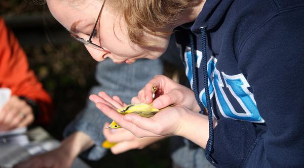 A girl holds a bird in her hands