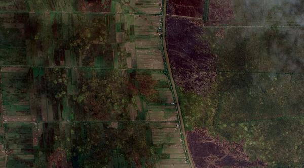 Burn scars on peatlands in Central Kalimantan province, Indonesia. 