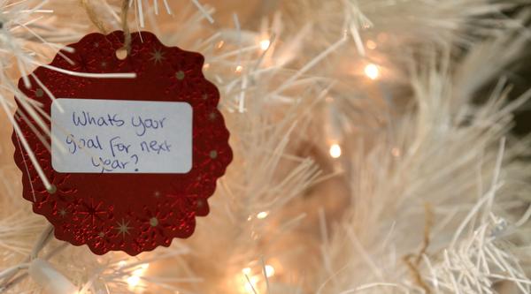 Photo or ornament on tree that reads: What's your goal for next year? 