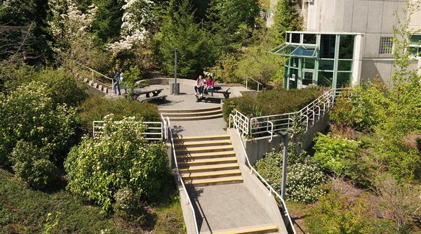 5 university application questions (and what to do if you submit late)