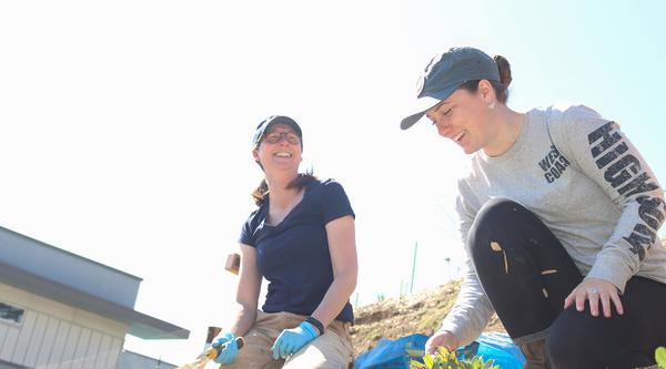 Caroline Josefsson, left, and VIU student Megan Kollman, sit on a hill weeding a section with several small green plants.