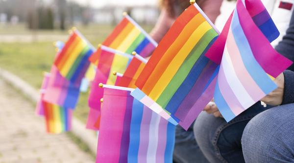 A closeup of multiple trans and pride flags.