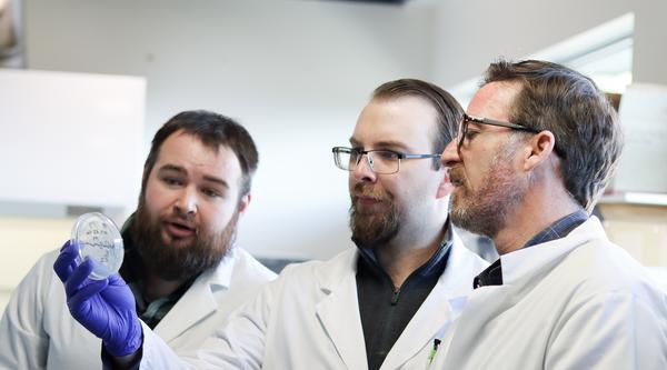 Joseph Nowlan, Scott Britney and Dr. Spencer Russell, wear white lab coats, while looking at a Petri dish.