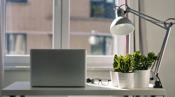 Photo of a desk with natural light coming in from a window and plants sitting on the desk