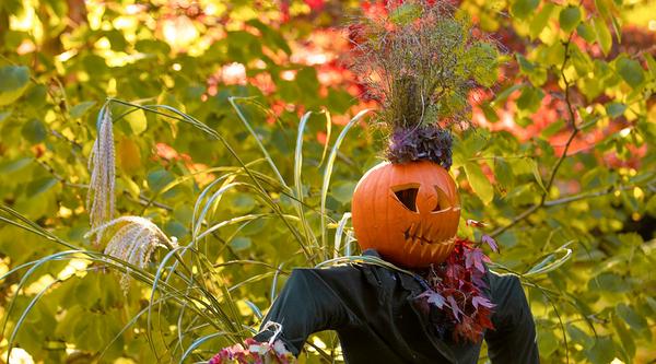A scarecrow with a pumpkin for a hand and flower bouquets for hands is nestled among trees.