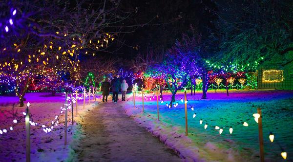 Three people walk along a lighted path that is illuminated with a rainbow light projection. Trees along the side of the path are strung with white, yellow, green and blue lights.