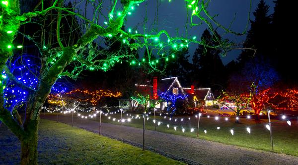 Green, blue and red holiday lights twinkle and glow on Milner House and trees and shrubs.