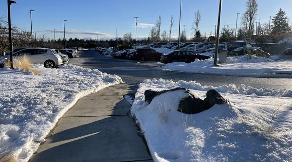 A clear path that has had the snow shoveled off of it with bright blue sky.