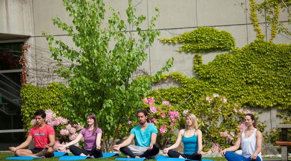 Manage stress as a university student at VIU