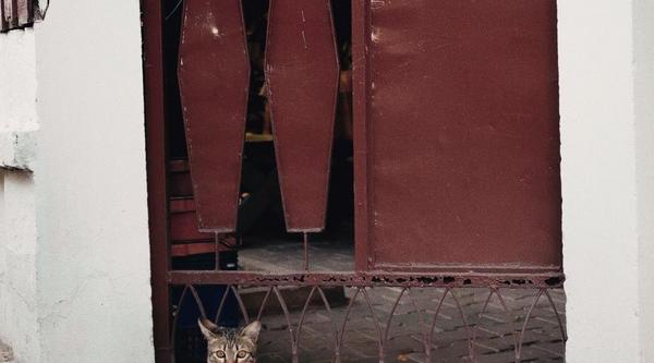 Room for rent sign in a door