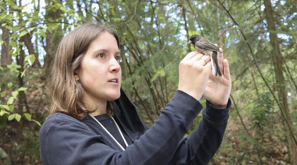 Samuelle Simard-Provençal holds a small bird in her hands.