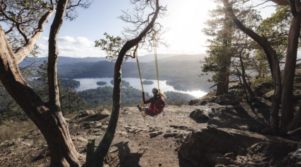 A woman with her back to the camera sits on a swing tied to a tree in a clearing on the top of a mountain looking down at the water below on a sunny evening.