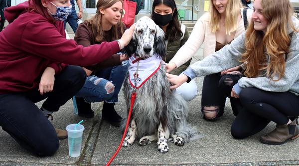 Students petting a therapy dog