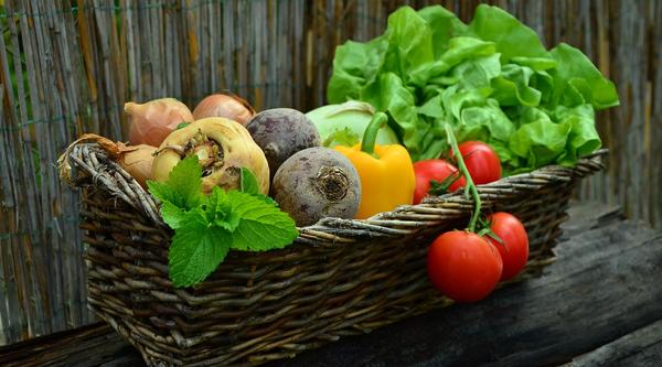 basket of vegetables
