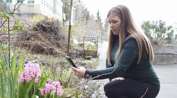 Mandy Hobkirk uses her phone to take photos of pink flowers.