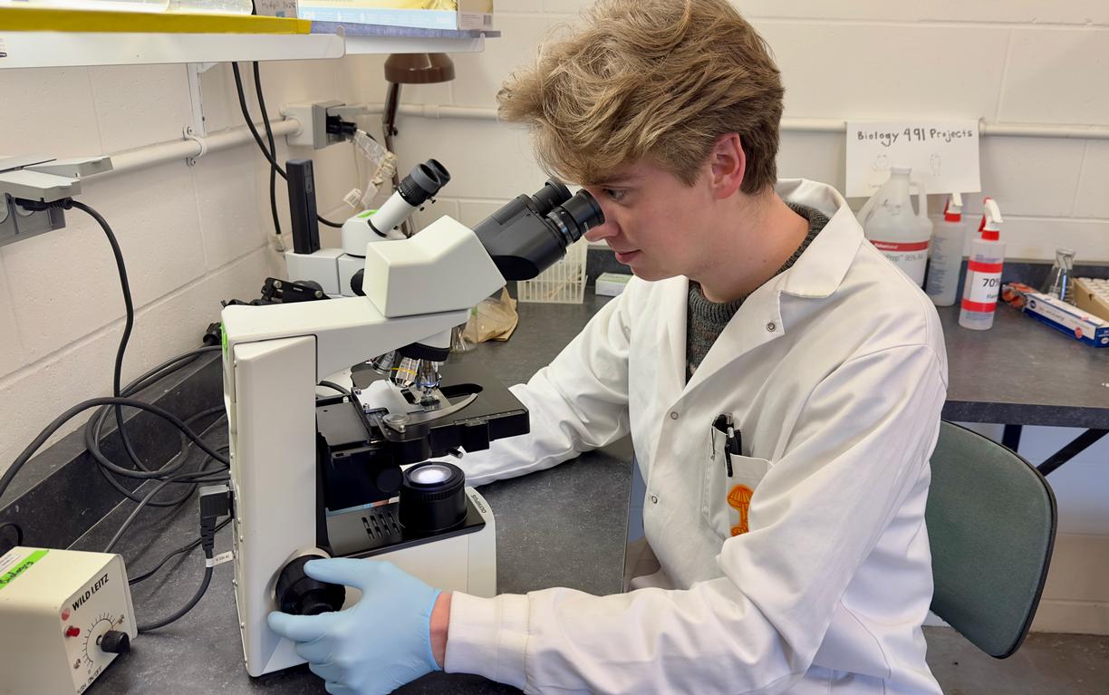 Ian wears gloves and a lab coat and looks through a microscope