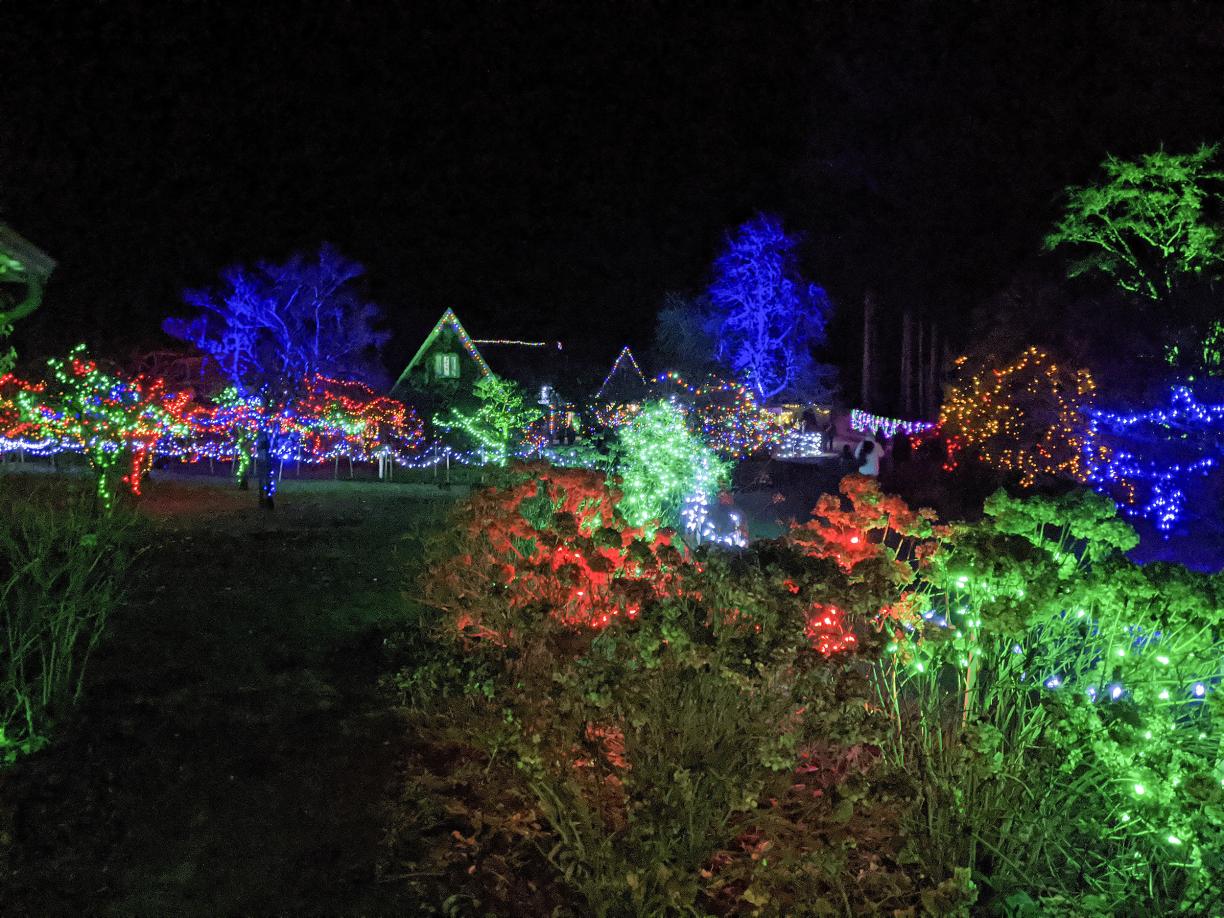 Red, green and blue Christmas lights adorn trees and bushes and the roof of Milner House.