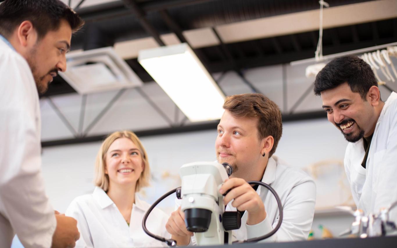 Four students in a biology lab
