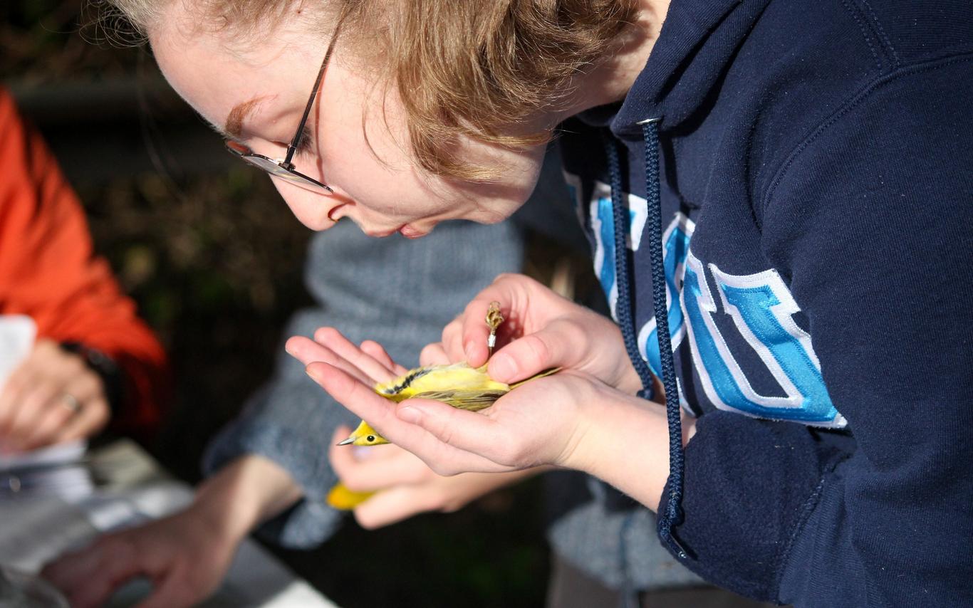 A girl holds a bird in her hands