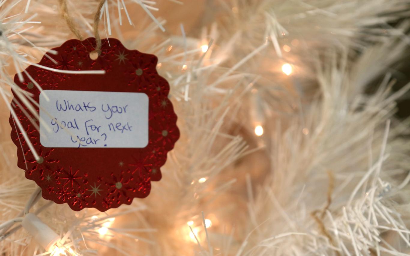 Photo or ornament on tree that reads: What's your goal for next year? 