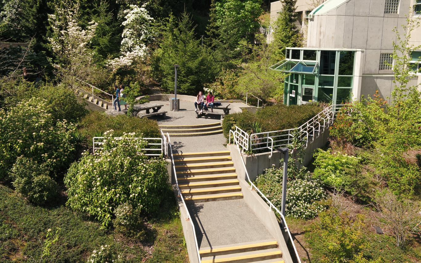 5 university application questions (and what to do if you submit late)