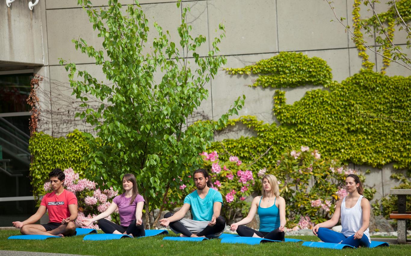 Manage stress as a university student at VIU