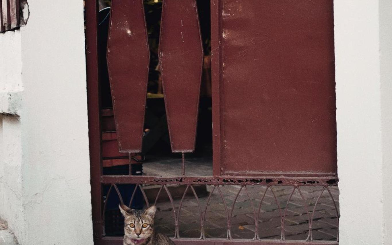 Room for rent sign in a door