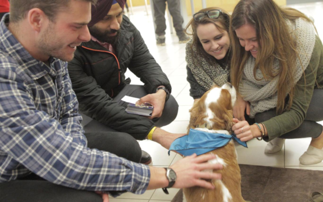 Bust Stress at Vancouver Island University in 4 Steps