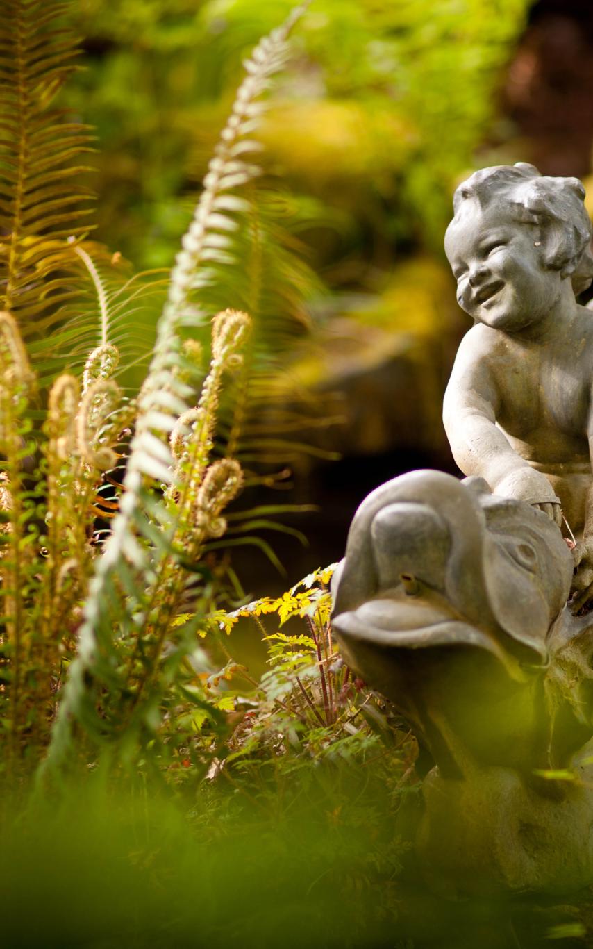 Statue surrounded by ferns