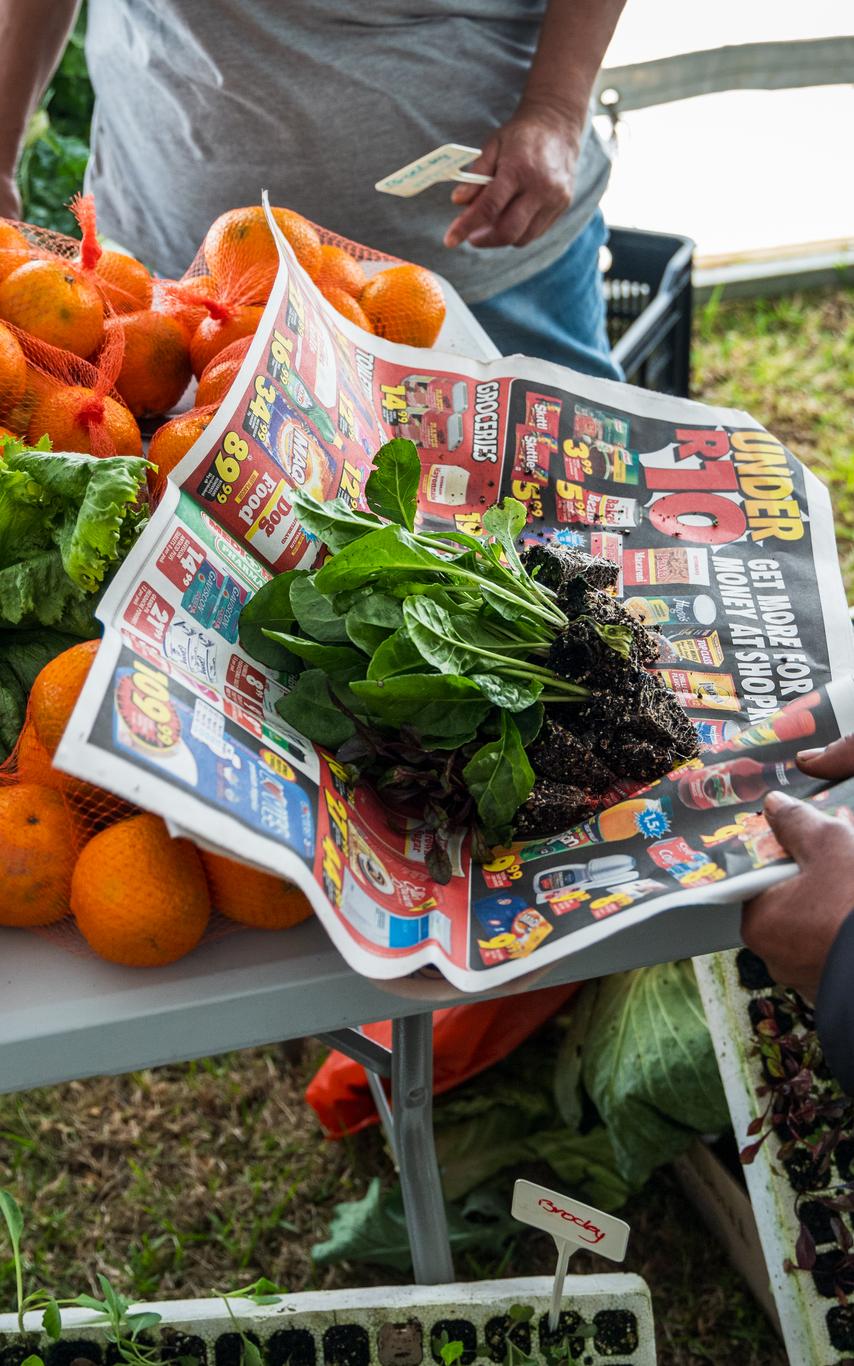 A farmer wraps vegetables in newspaper