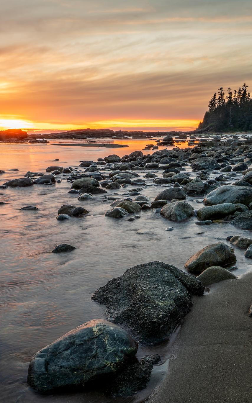 A beach scene on Vancouver Island